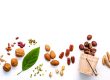 Health Benefits of Pecans during National Georgia Pecan Month | Reliant at Home Care