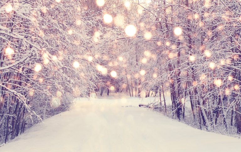 Home Care Activities: Create Your Own Winter Wonderland | Reliant at Home Care