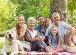 How Can You Protect Your Senior’s Safety On a Road Trip | Reliant at Home Care