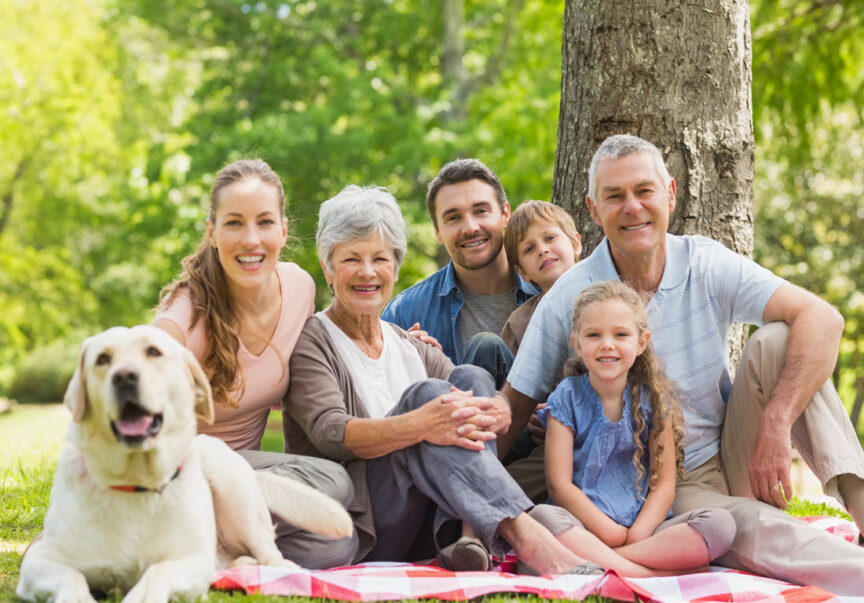 How Can You Protect Your Senior’s Safety On a Road Trip | Reliant at Home Care