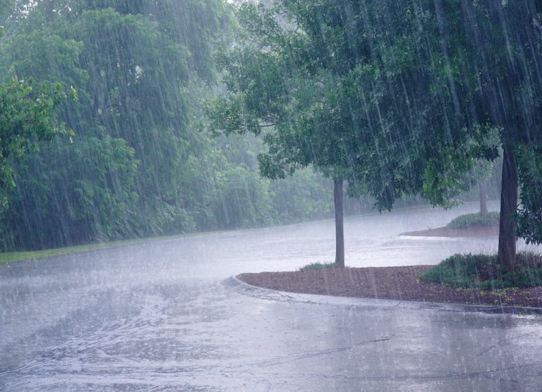 Red Cross Tips for Preparing Your Loved One for a Severe Thunderstorm | Reliant at Home Care