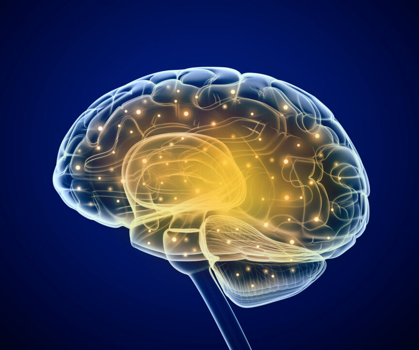 Reliant at Home Care Welcomes The Brainy Day Activity Program For Older Adults with Alzheimer’s and Dementia | Reliant at Home Care