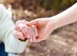 Elder Care | Reliant at Home Care